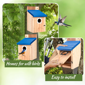 Hoamayya predator-guard birdhouse with accessible mounting points