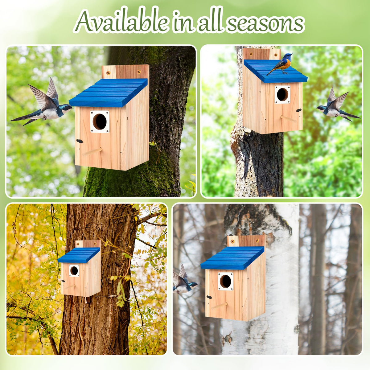 Hoamayya wooden birdhouse details highlighting natural wood and blue finish