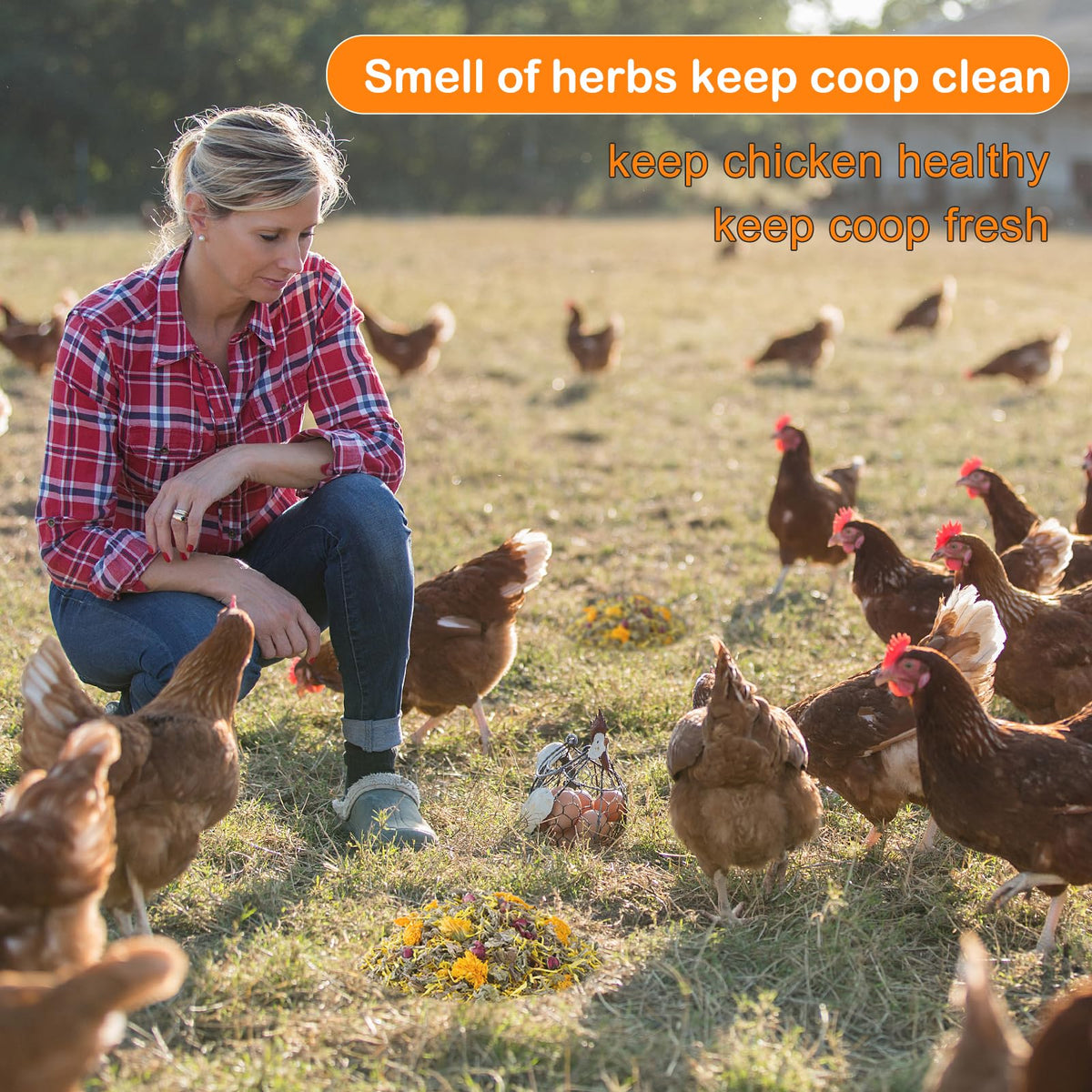 HoazHoald lime-grit-bedding-for-coop delivers natural freshness in the coop