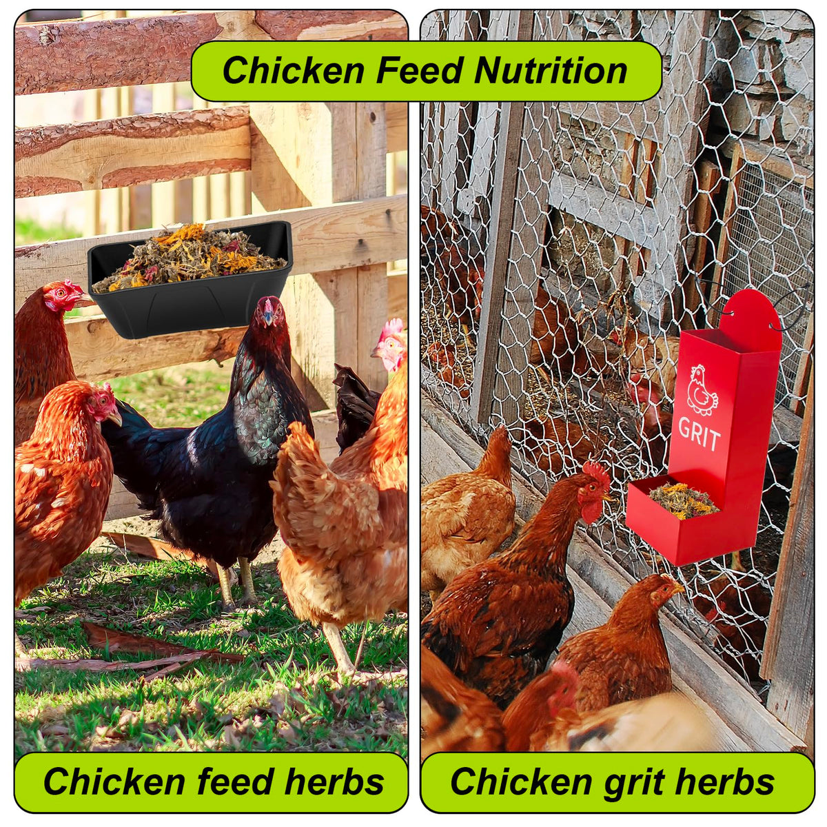 HoazHoald premixed herbs are easy to use and scatter around the coop.