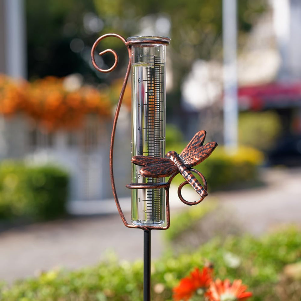 HOBYLUBY dragonfly rain gauge with iron frame adds charm to outdoor decor.