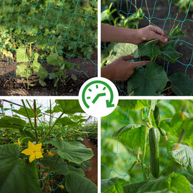 HOECMRHP Nylon cords are gentle on stems while guiding growth.