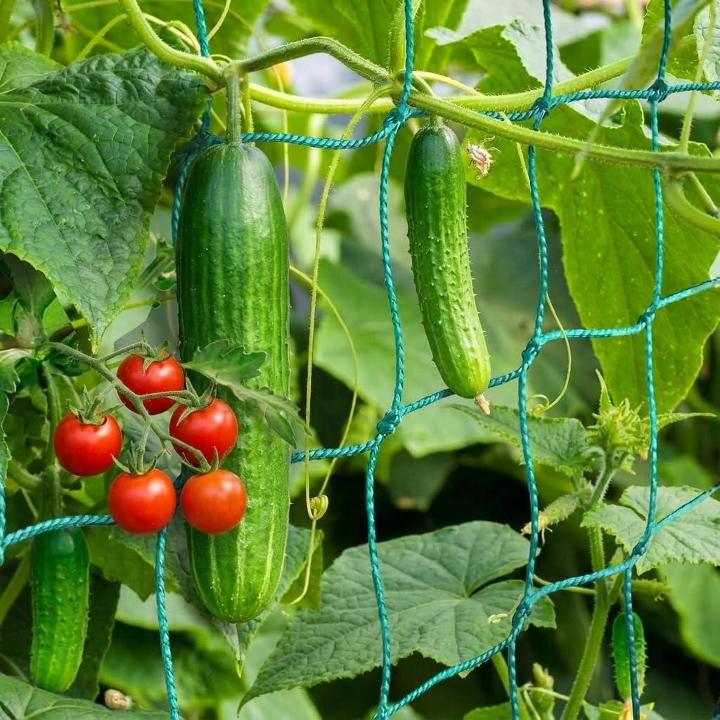 HOECMRHP Trellis Netting provides sturdy climbing support for cucumbers and tomatoes.