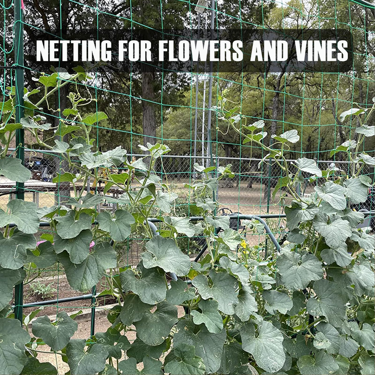 HOECMRHP Netting supports peas, beans, grapes, and other climbing plants.