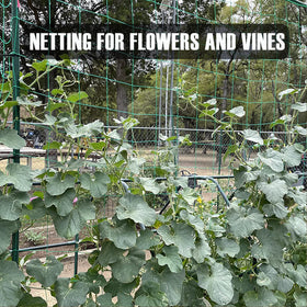HOECMRHP Netting supports peas, beans, grapes, and other climbing plants.