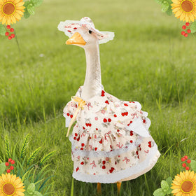 Hoemwarm packaging display shows a complete strawberry themed goose outfit kit