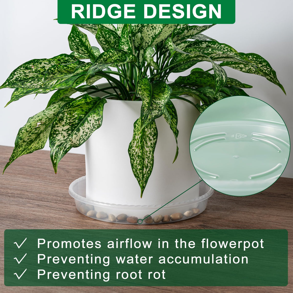 Hoewina plant saucer set of 6 simplifies protection and cleanup for multiple pots