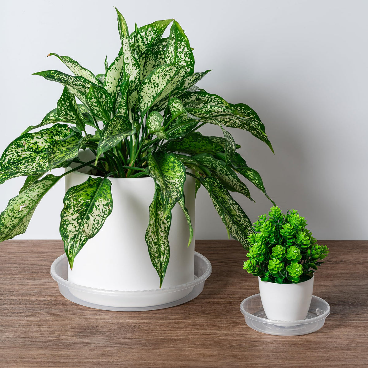 Hoewina plant saucer tray 10 inch outdoors — durable base prevents floor damage.