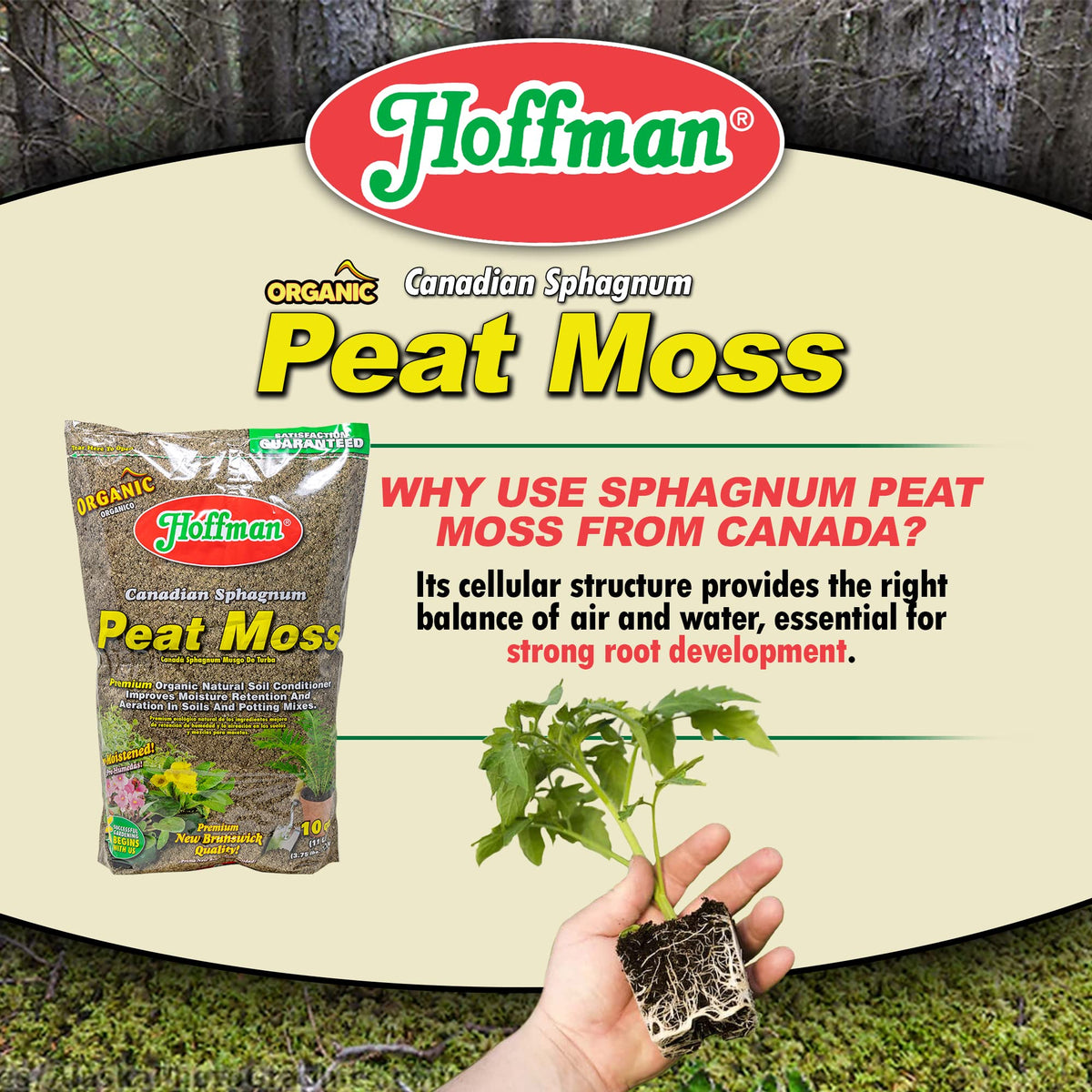 Hoffman 15503 peat moss blends with perlite for versatile potting mixes