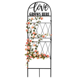 hogardeck 45x14 inch metal garden trellis provides sturdy climbing plant support.
