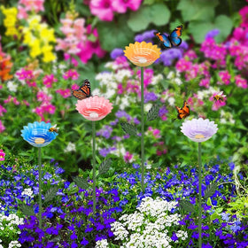 hogardeck butterfly-feeder-bird-bath showcases versatile outdoor attractors for pollinators and birds.