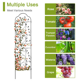 Expandable Hogardeck trellis shows four interlocking units for vertical growth.