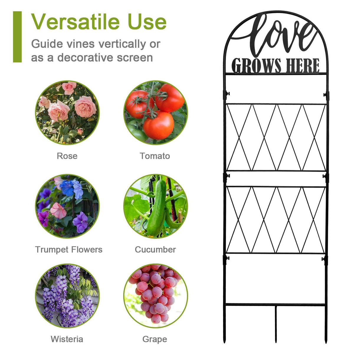 Versatile support for tomatoes, cucumbers, roses, and other climbers.