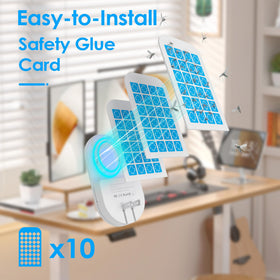Hogius glue boards offer silent, odor-free pest capture