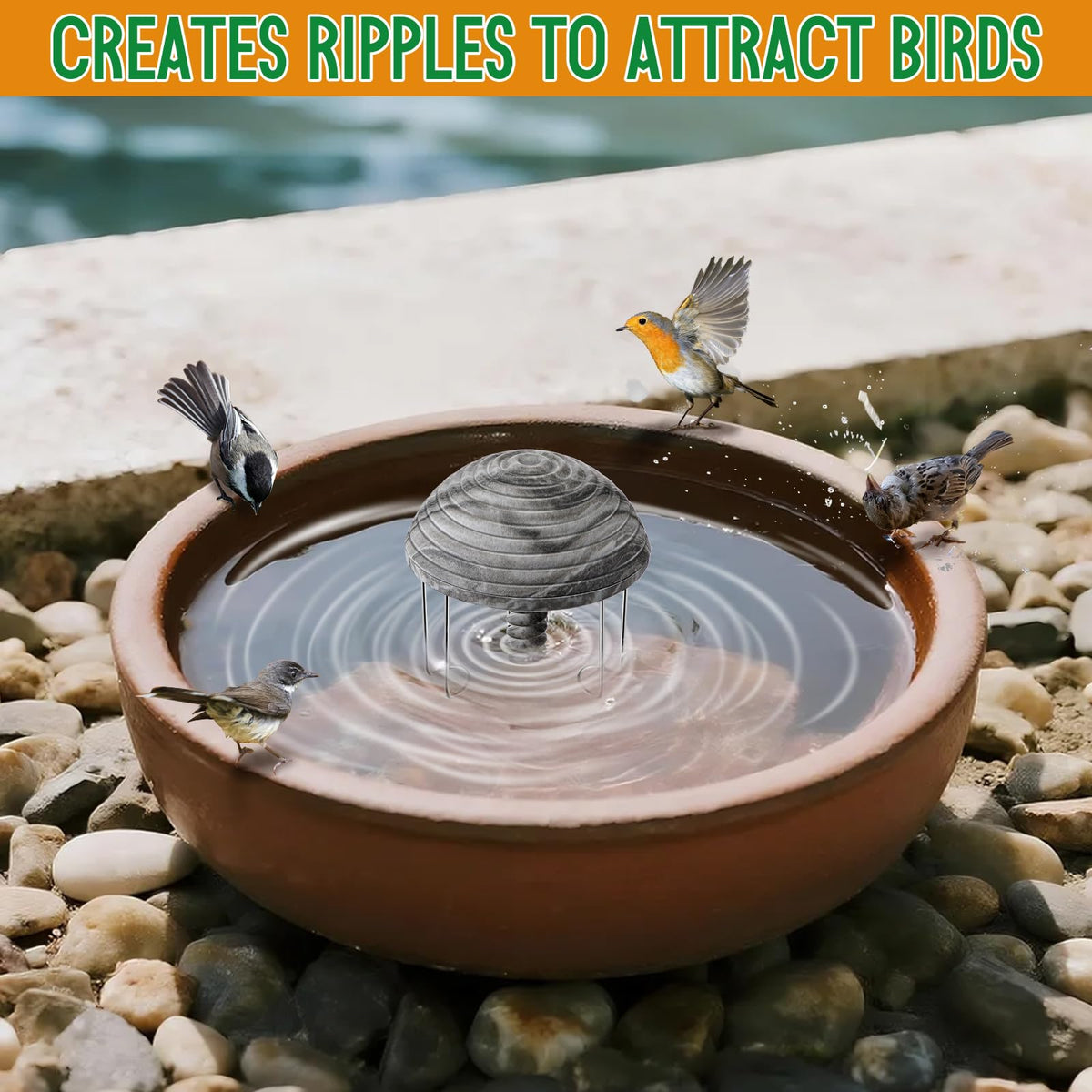 Hohean ripples enhance garden life and reflections around the bath.