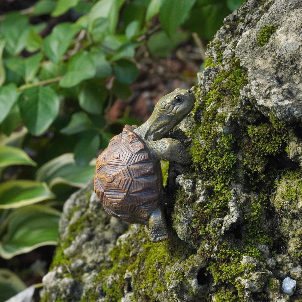 HoiiYoza plant pot turtle hanger integrates with bonsai displays