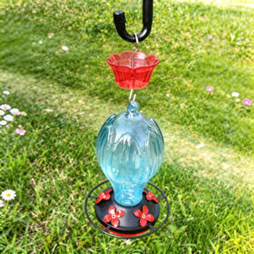 HOLAHOMA Ant Moat’s red blossom shape draws hummingbirds to the feeder.