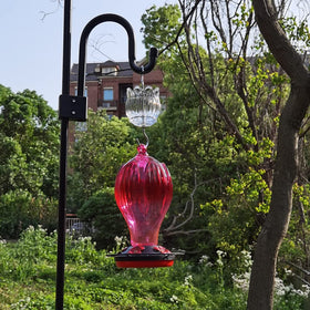 HOLAHOMA elegant moat as garden décor near hummingbird feeders.