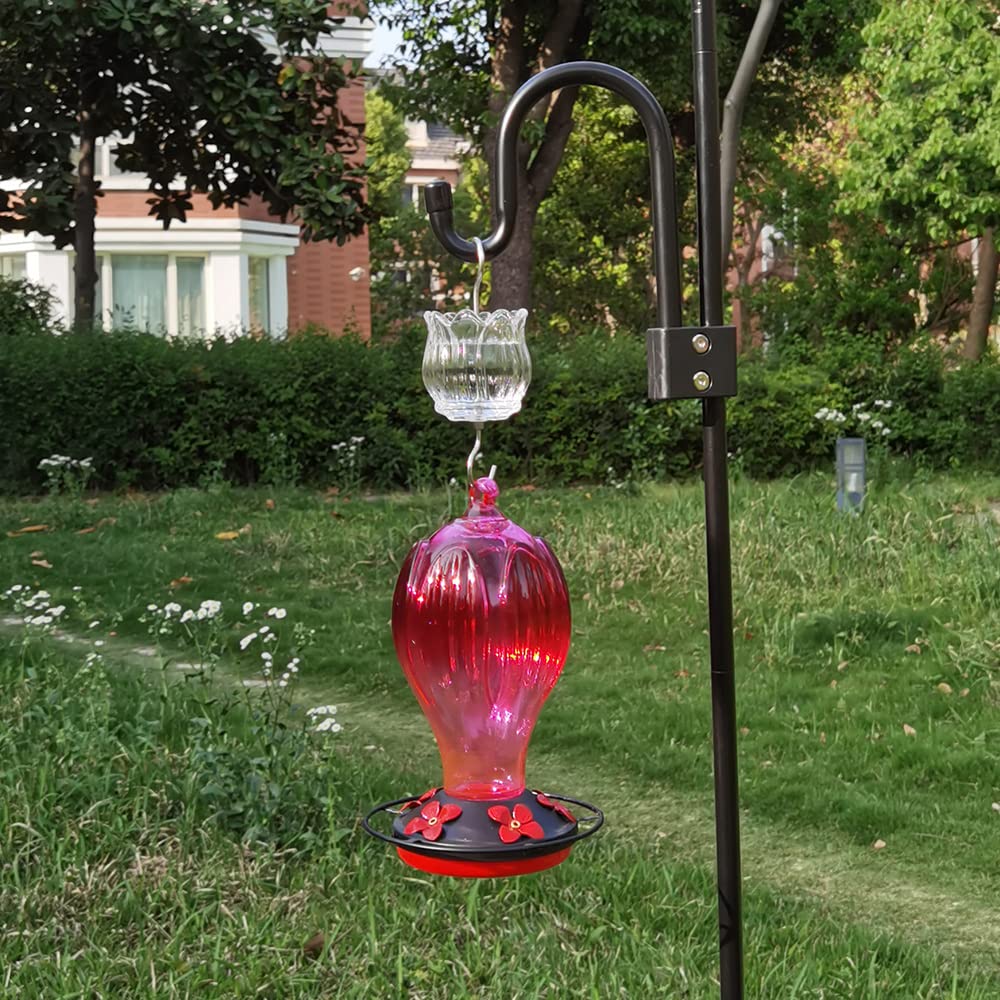 HOLAHOMA tulip-style ant moat adds decorative garden value.