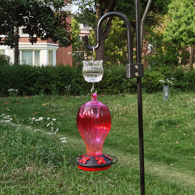 HOLAHOMA tulip-style ant moat adds decorative garden value.