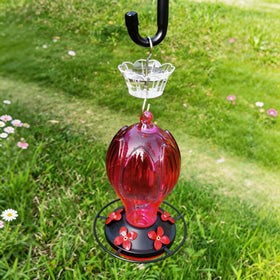 HOLAHOMA transparent moat packaging, easy to check nectar level.