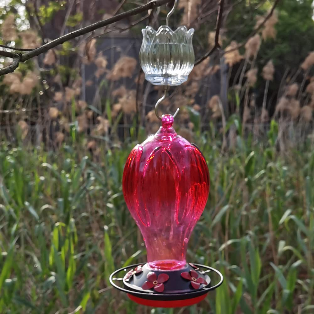 HOLAHOMA thicker glass adds durability for outdoor use.