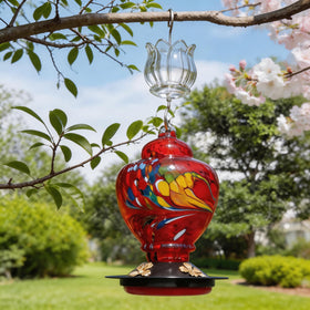 HOLAHOMA thicker glass increases durability and garden appeal.