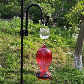 HOLAHOMA clear glass shows nectar level at a glance.