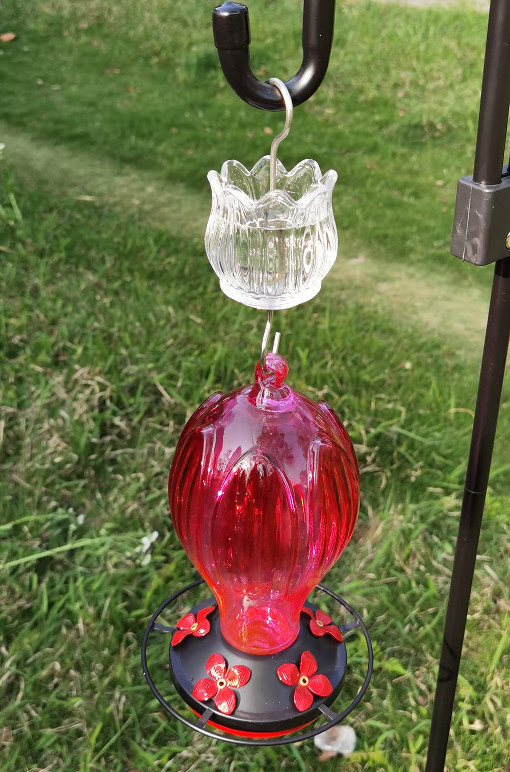 HOLAHOMA tulip motif design enhances garden decor while guarding nectar.