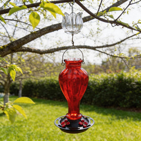 HOLAHOMA wide opening simplifies hanging and refilling on feeders.