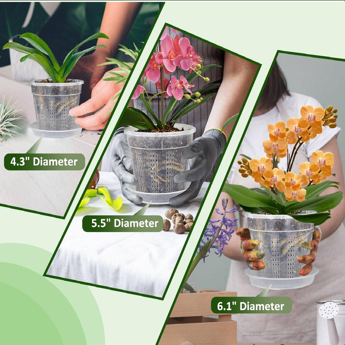 HOLANHING all-in-one repotting kit simplifies orchid care at home