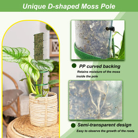 HOLANHING D shape moss pole 24 inch ideal for small plants