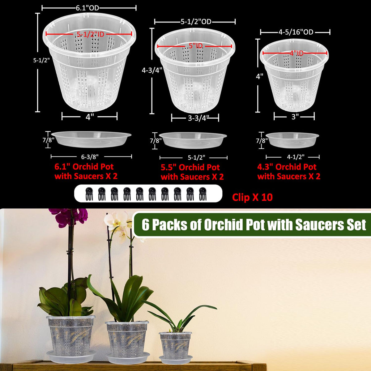 HOLANHING indoor orchid display with clear pots enhances visibility
