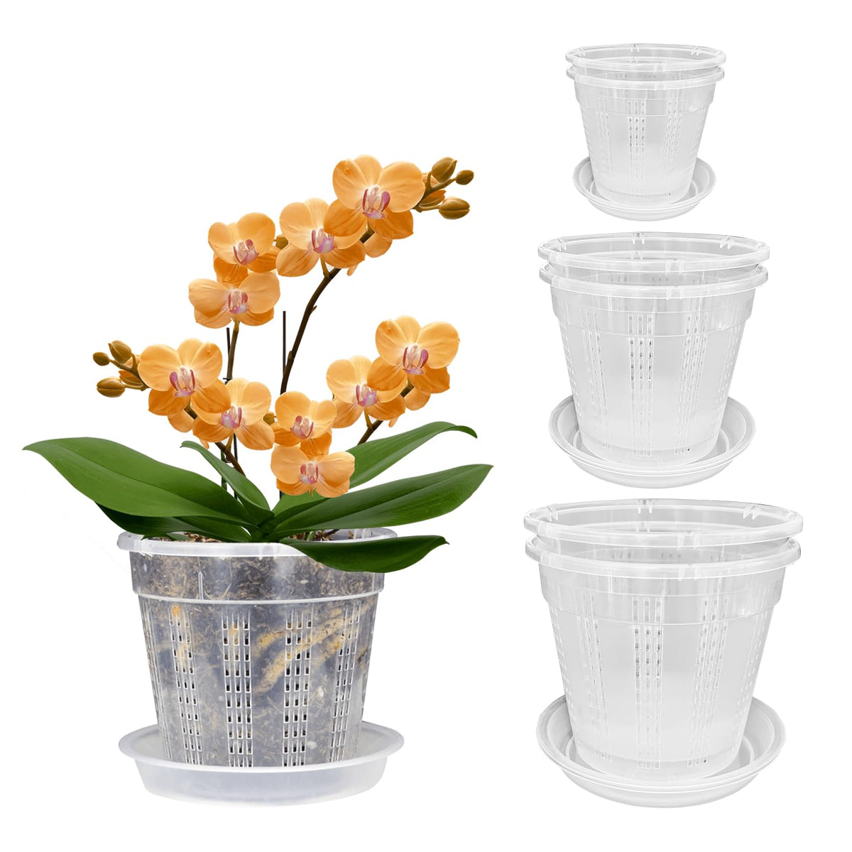 HOLANHING orchid pot 4.3-inch clear with visible drainage for roots