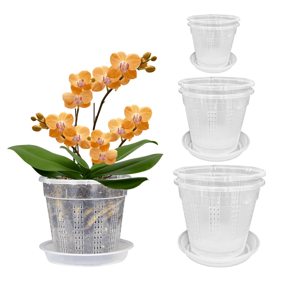 HOLANHING orchid pot 4.3-inch clear with visible drainage for roots