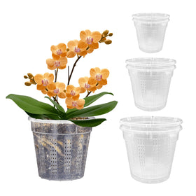 HOLANHING orchid pot 4.3-inch with clear sides for root observation