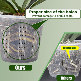 HOLANHING orchid pot 5-5 clear reveals root growth and drainage paths