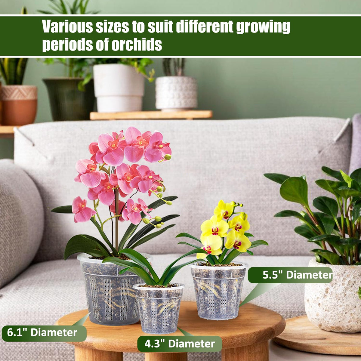 HOLANHING orchid pot 5.5-inch with clear sides for moisture monitoring