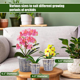 HOLANHING orchid pot 5.5-inch with clear sides for moisture monitoring