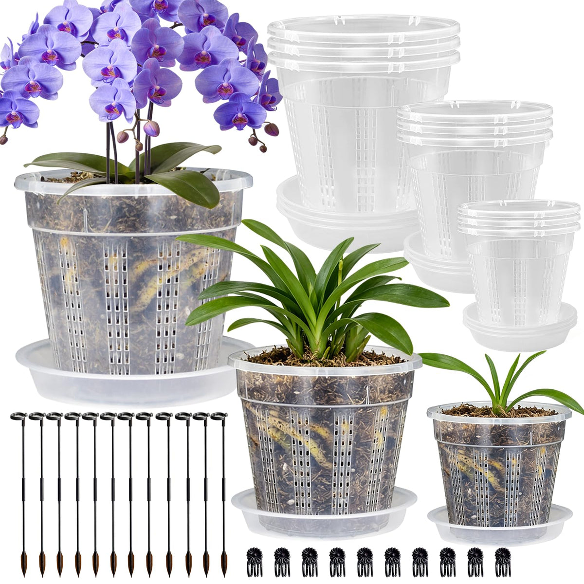 HOLANHING orchid pot 6-1 clear shows root visibility for moisture checks