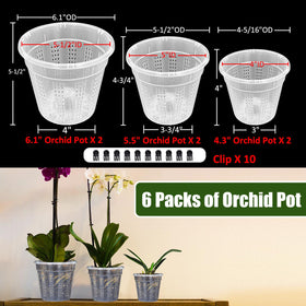 HOLANHING orchid pot with clear sides for root visibility