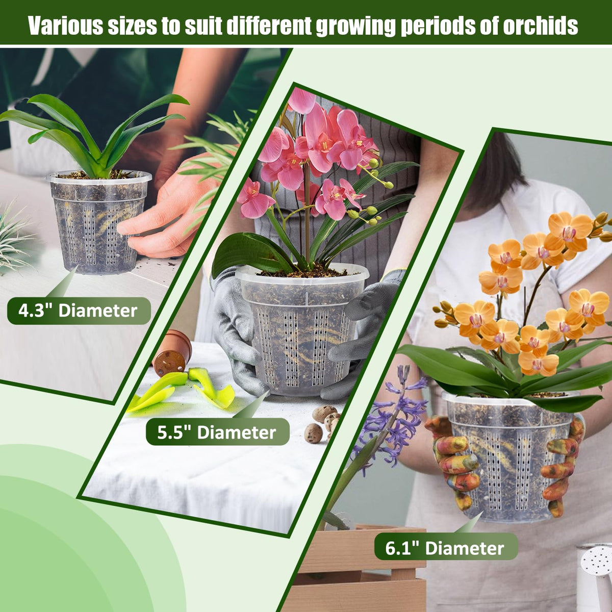 HOLANHING orchid pot suitable for indoor and outdoor use