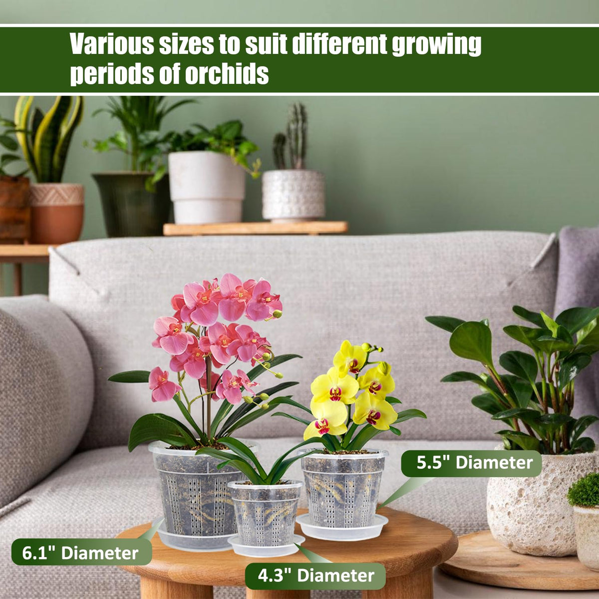 HOLANHING PP orchid pot offers durable long-lasting performance