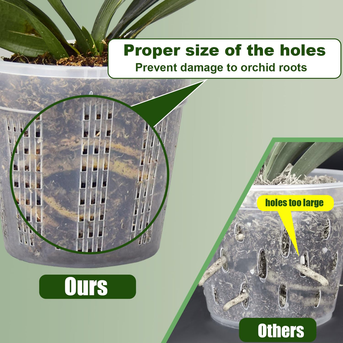 HOLANHING saucer clear and durable catches runoff and protects surfaces