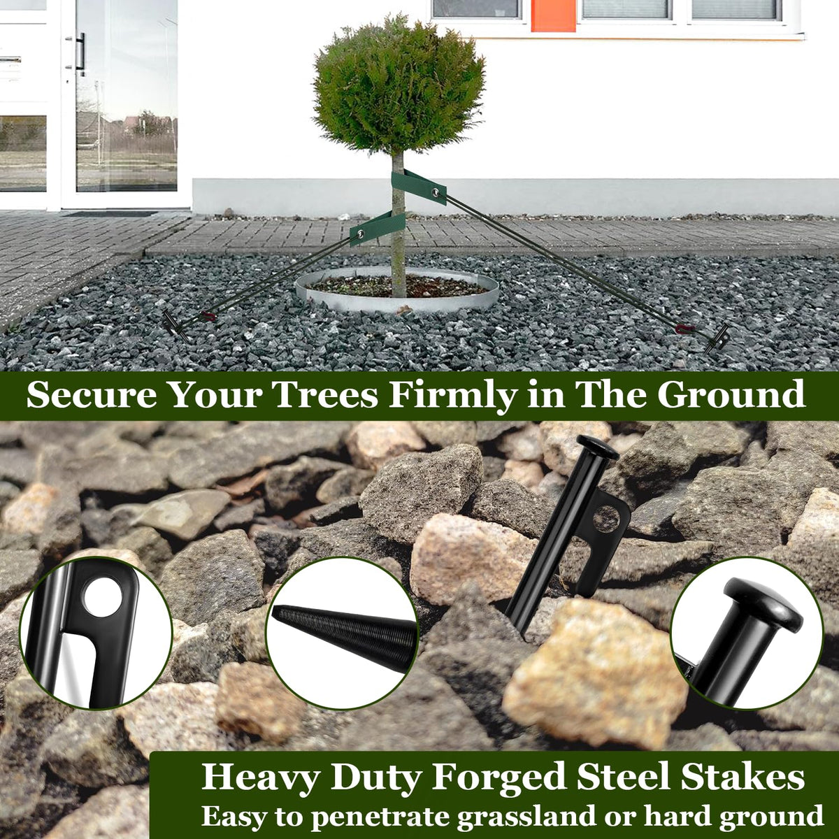 HOLANHING tree-straps staking wide strap distributes weight to protect bark