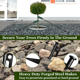HOLANHING tree-straps staking wide strap distributes weight to protect bark