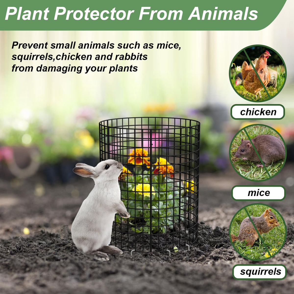 HOLANHING vinyl-coated cage proves rust resistance for outdoor durability.