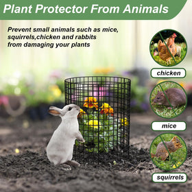 HOLANHING vinyl-coated cage proves rust resistance for outdoor durability.