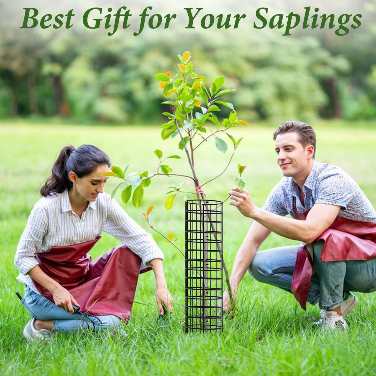 HOLANHING versatile trunk guards suitable for gardens and nurseries.