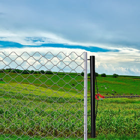 HoLarXuQ fence-stretching session shows quick setup for backyard projects